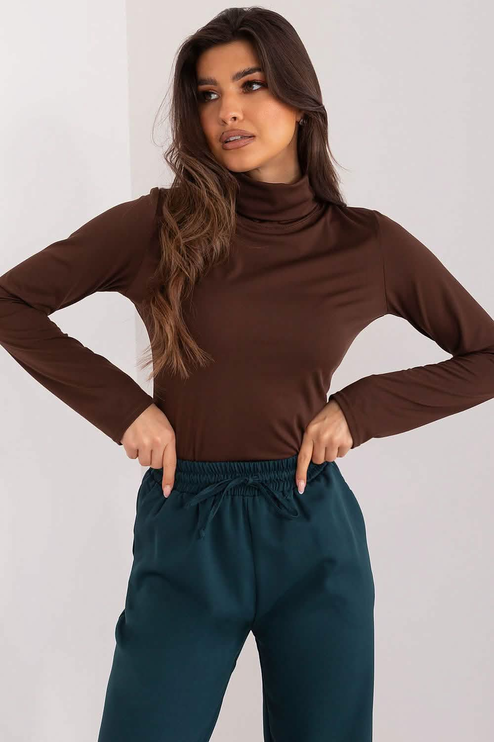 Brown turtleneck top paired with dark teal elastic-waist pants.